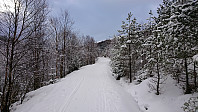 Gravel road from Hjortland
