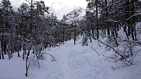 Path towards Norhytten