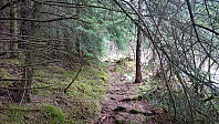 Trail towards Stolåsen