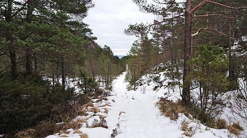 Tractor road towards Førdespollen