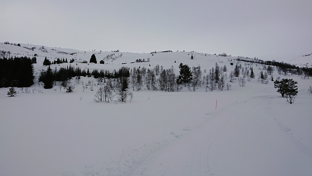 View towards Kollsetestølen with the DNT cabin with the same name to the left of the large tree
