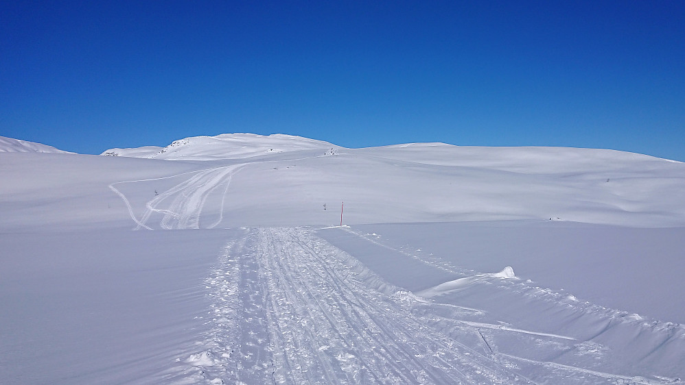 Towards Høgehaug (to the right). Blåfjellet in the background.
