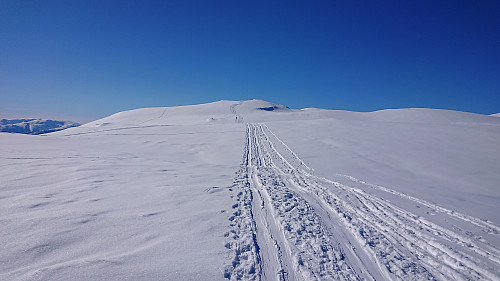 Towards Blåfjellet