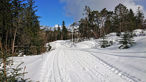 Looking back at the ski trail below Åsebu