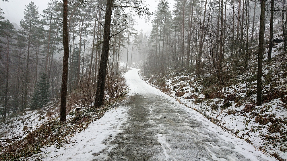 Looking back at where the snow ended