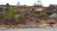 Trailhead Nipa