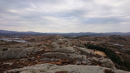 View from Nipa