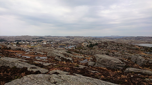 View from Nipa