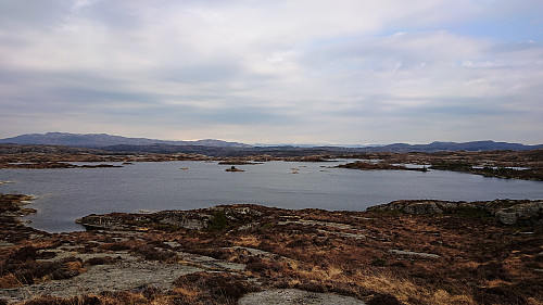 Gåsavatnet