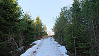 Almost at the summit of Raudfjellet