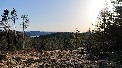 View from Raudfjellet