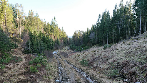 Tractor road down to Litlamyra