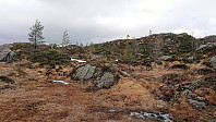 White trail from Rødsfjellet