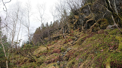 Start of the trail to Møsnuken