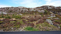 Trailhead Sælsfjellet