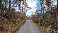 Road to Hatlelio