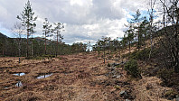 Trail towards the BJF cabin