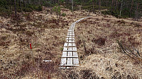 Trail towards the BJF cabin