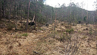 Trail southeast from the BJF cabin