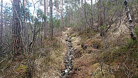 Trail southeast from the BJF cabin