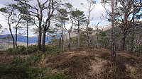 Skantane