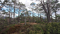 Skantane