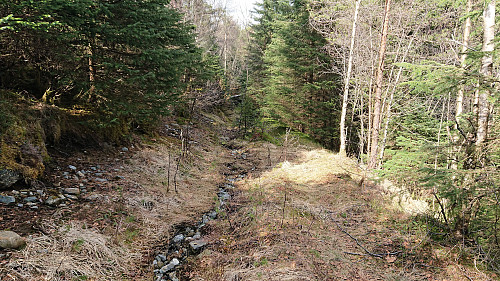 Tractor road southeast of Skantane