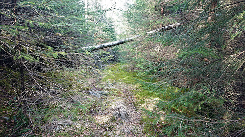 Tractor road southeast of Skantane