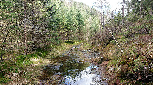 Tractor road towards Reppåsen