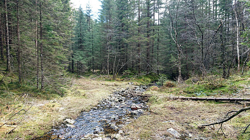 Crossing the river left in Bødalen to head to Reppåsen