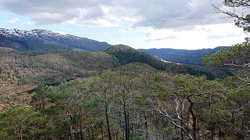 Grønhovda from the descent of Reppåsen
