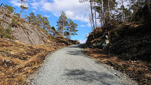 ... brand new gravel road! (If only for a couple of minutes...)