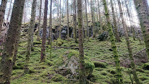 Light climbing required to reach Grønhovda