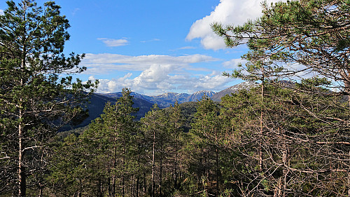 View from Grønhovda
