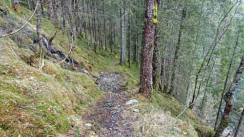 Trail from Grønhovda down to Os El-verk