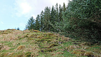 Marked trail