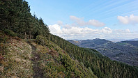 Looking back at trail to viewpoint