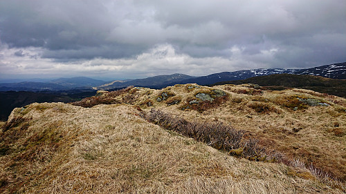 Summit area at Hæddena