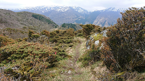 Start of the trail south from Orrkleivhaugen