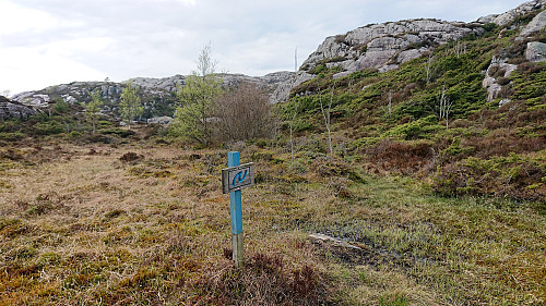 Poor trail towards Ørnhaugen