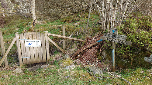Marked trailhead north of Ørnhaugen