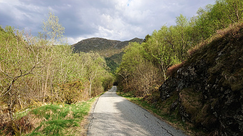 Ulskebjørnen (upper right) from the start of Vinddalen