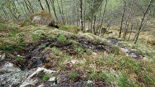 Looking back at one of the muddy stretches of the trail