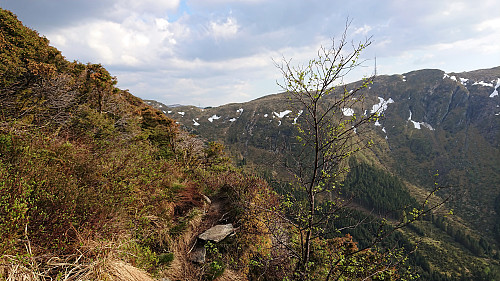 Trail to Ulskebjørnen