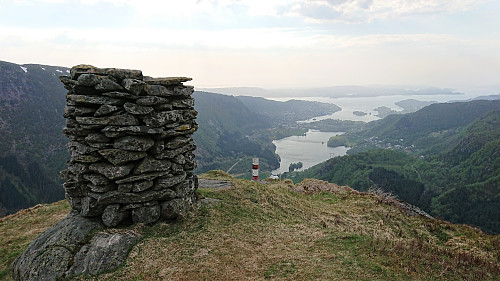 Ulskebjørnen