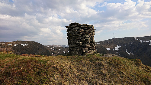 Ulskebjørnen