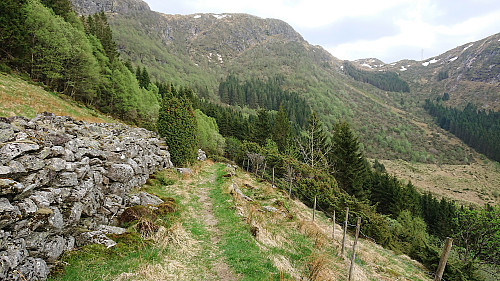 Trail southeast from Stallane