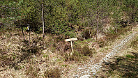 Trailhead Gråfjellet