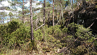 The trail can be well-hidden...