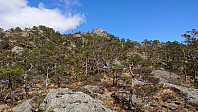 View towards Nulten